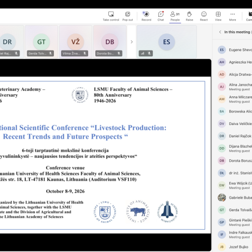 Screenshot-2026-10-08-at-15.47.38